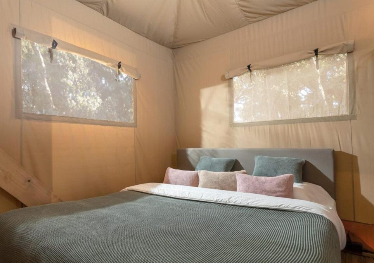 Isola Verde Camping Village Nettuno Eksteriør bilde